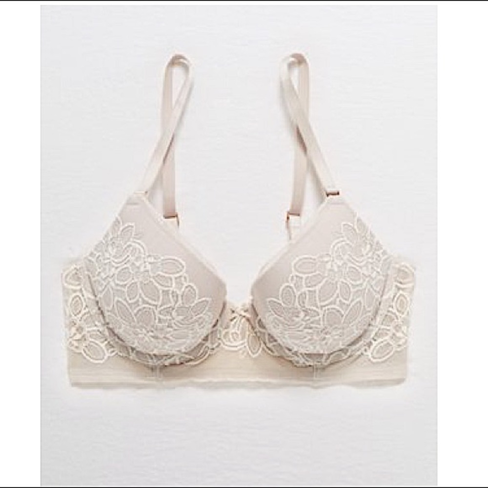 Aerie Real Power Plunge Push Up Bra